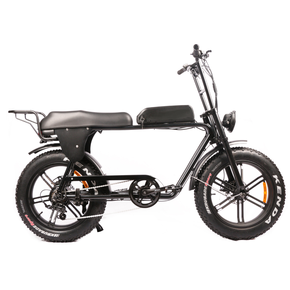 最安値 デュアルモーター 電動自転車 大人用 アルミ合金フレ - Dual Motor Electric Motorcycle Frame のレビューと価格