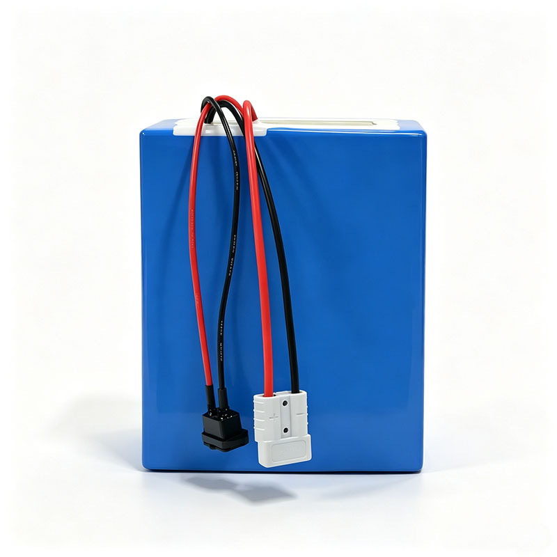 リチウム LiFePO4 72V 50Ah 60Ah 40A - 72V 60Ah Lifepo4 Battery Pack のレビューと価格