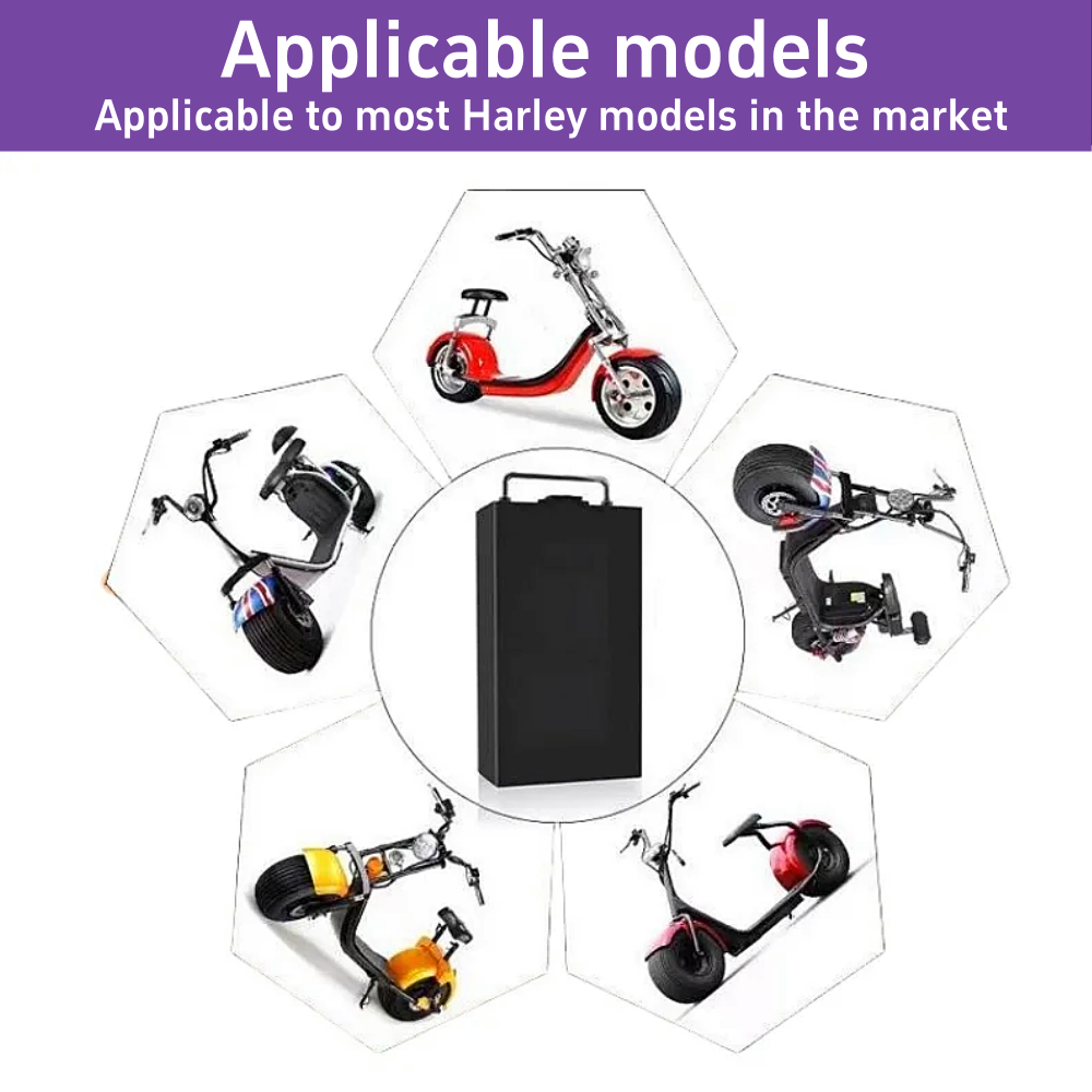 60V ハーレー電気自動車用リチウムバッテリー 10/20/ - 60V 30Ah Electric Scooter Battery のレビューと価格